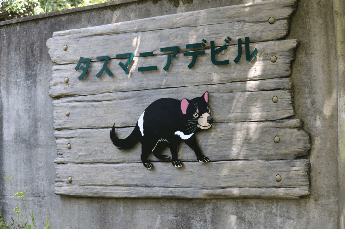 多摩動物公園タスマニアデビルの看板
