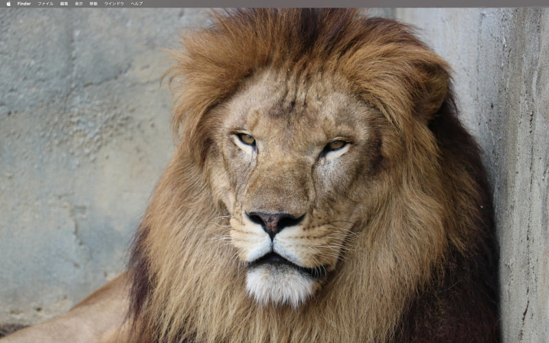 Macデスクトップ背景に自分が撮影した写真を設定する手順